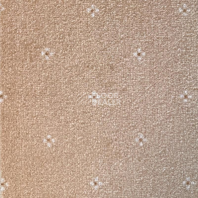 Ковролин AW Animo 34 фото 1 | FLOORDEALER